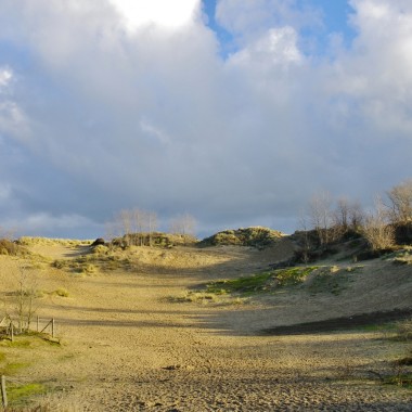 Duinen